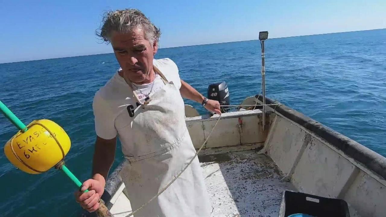 Dimore Di Portadibasso Peschici Bagian luar foto